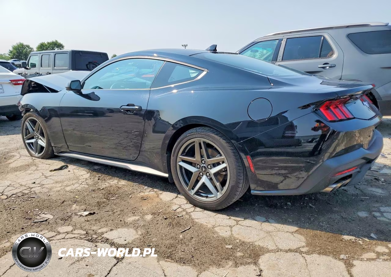 2024 Ford Mustang VIN:1FA6P8TH5R5138113 - 2