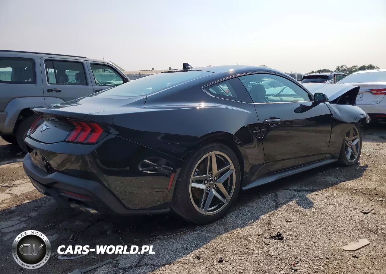 2024 Ford Mustang VIN:1FA6P8TH5R5138113 - 3