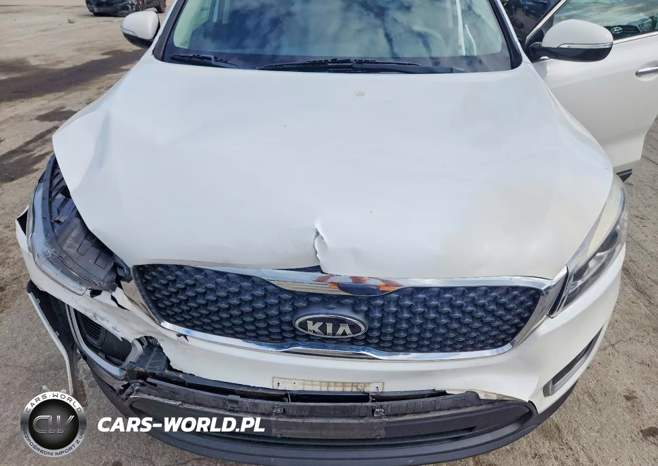 2018 Kia Sorento Lx VIN:5XYPG4A34JG340175 - 12