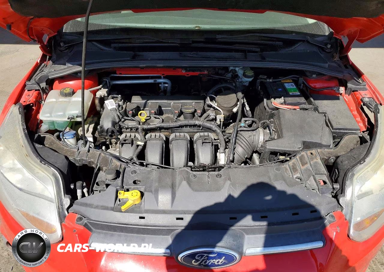 2014 Ford Focus Se VIN:1FADP3F20EL318493 - 11