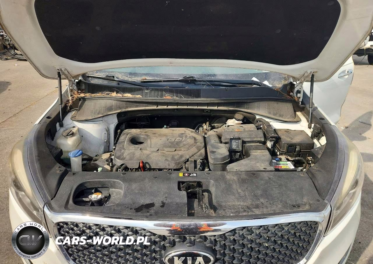2017 Kia Sorento Lx VIN:5XYPG4A3XHG321947 - 12