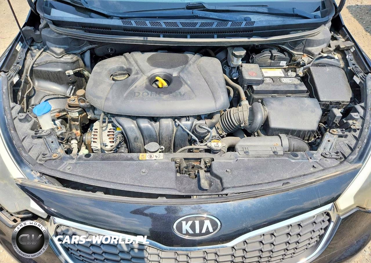 2015 Kia Forte Lx VIN:KNAFK4A63F5289849 - 11