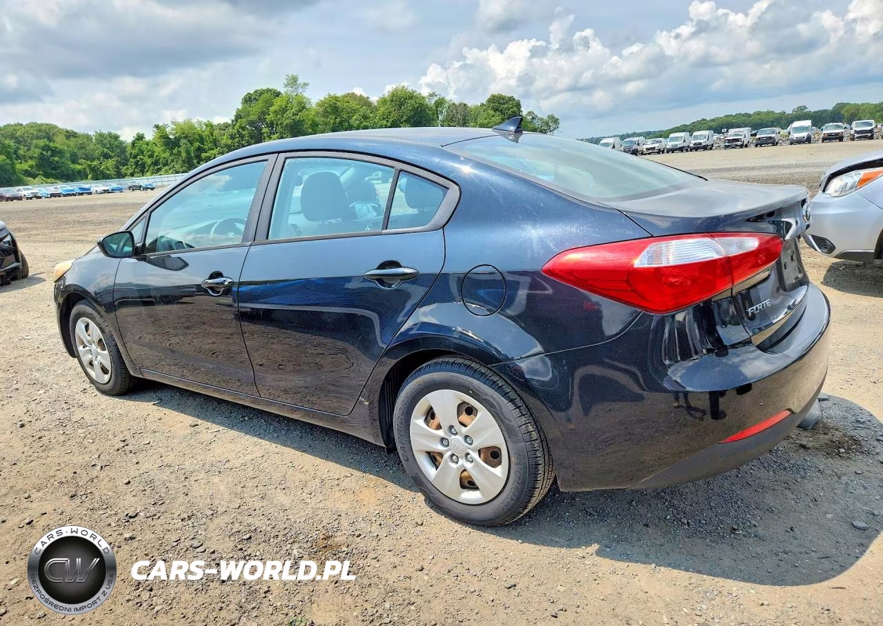 2015 Kia Forte Lx VIN:KNAFK4A63F5289849 - 2