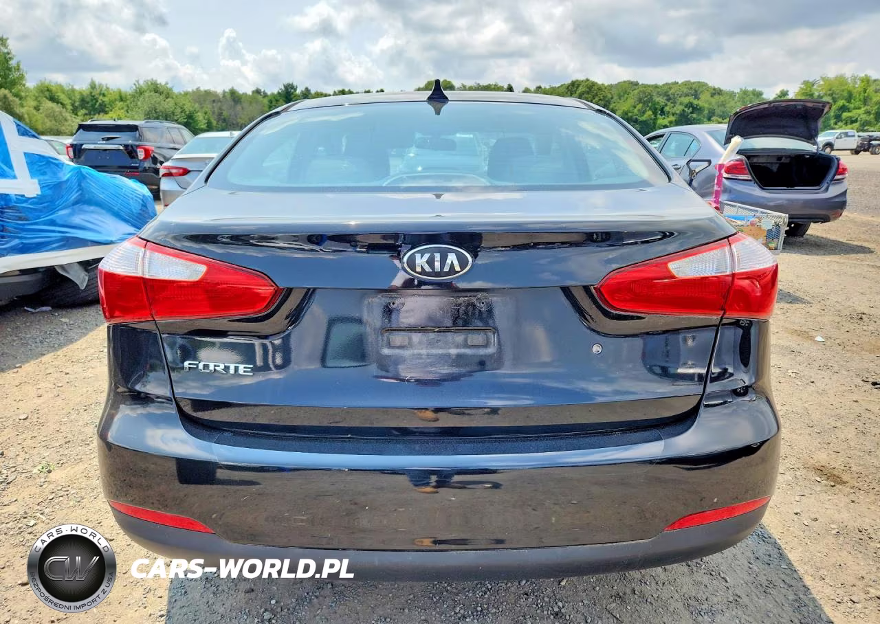 2015 Kia Forte Lx VIN:KNAFK4A63F5289849 - 6