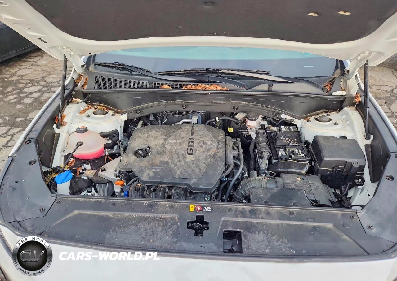 2022 Hyundai Santa Fe Xrt VIN:5NMS6DAJ8NH384722 - 12
