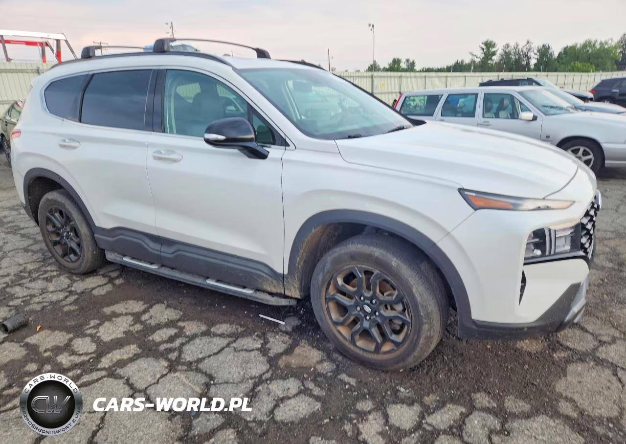 2022 Hyundai Santa Fe Xrt VIN:5NMS6DAJ8NH384722 - 4