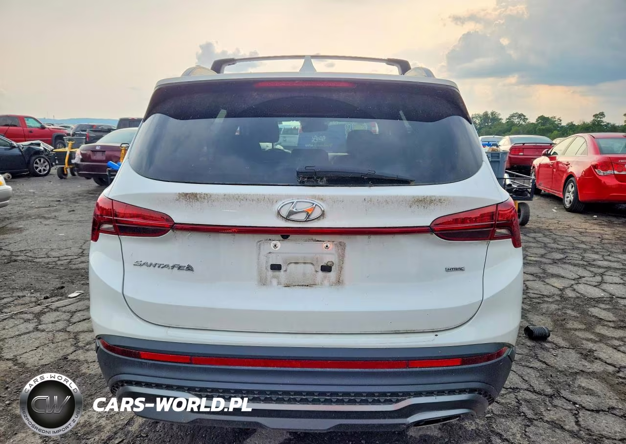 2022 Hyundai Santa Fe Xrt VIN:5NMS6DAJ8NH384722 - 6