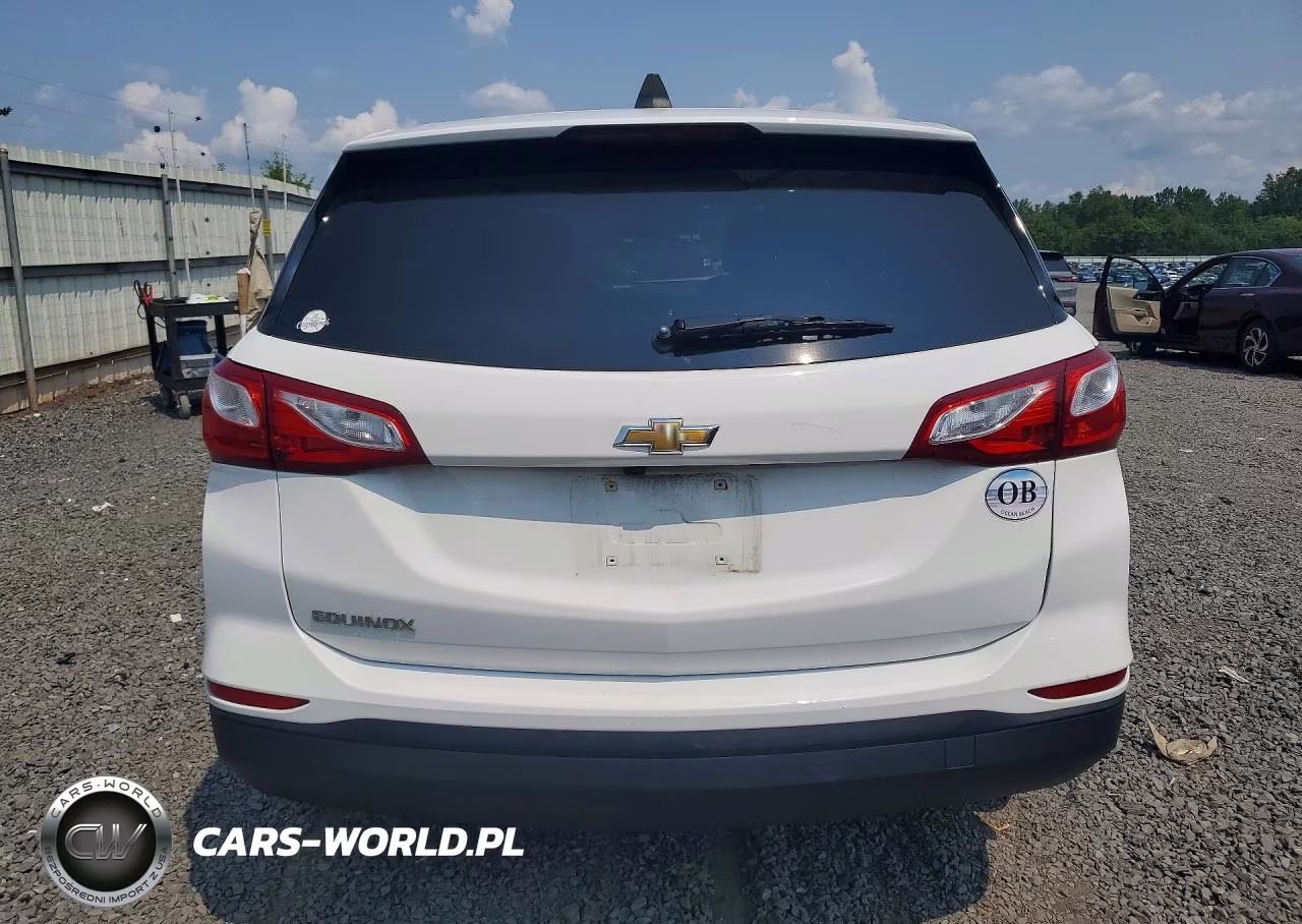 2020 Chevrolet Equinox Ls VIN:3GNAXHEV5LS592101 - 6