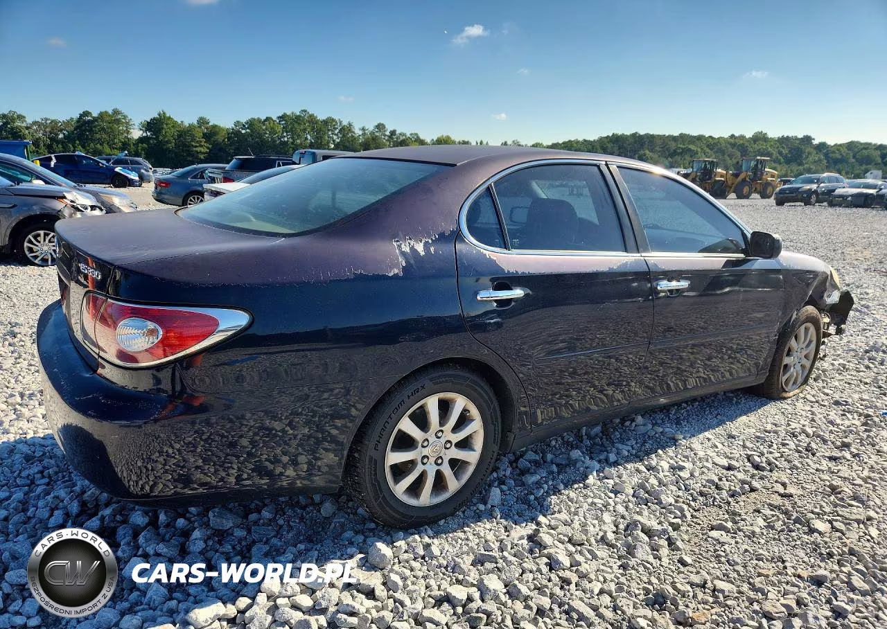2004 Lexus Es 330 VIN:JTHBA30G945024194 - 3
