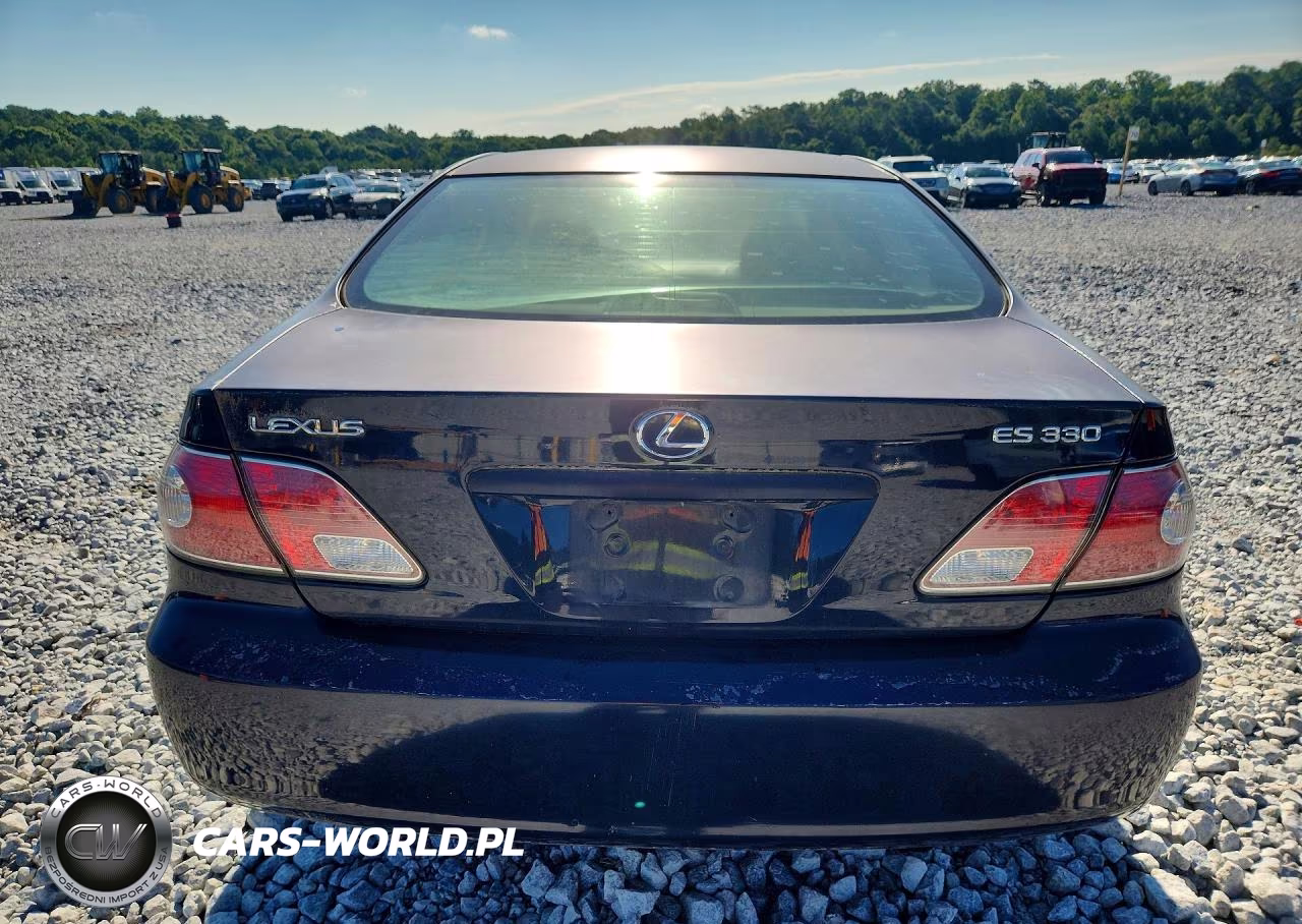 2004 Lexus Es 330 VIN:JTHBA30G945024194 - 6