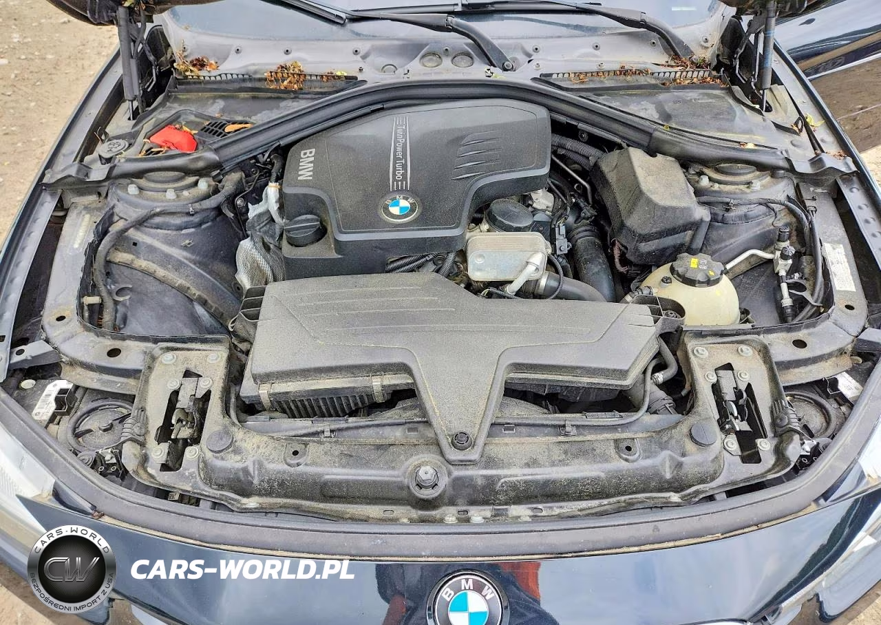 2016 BMW 320 I VIN:WBA8E1G52GNT35184 - 11