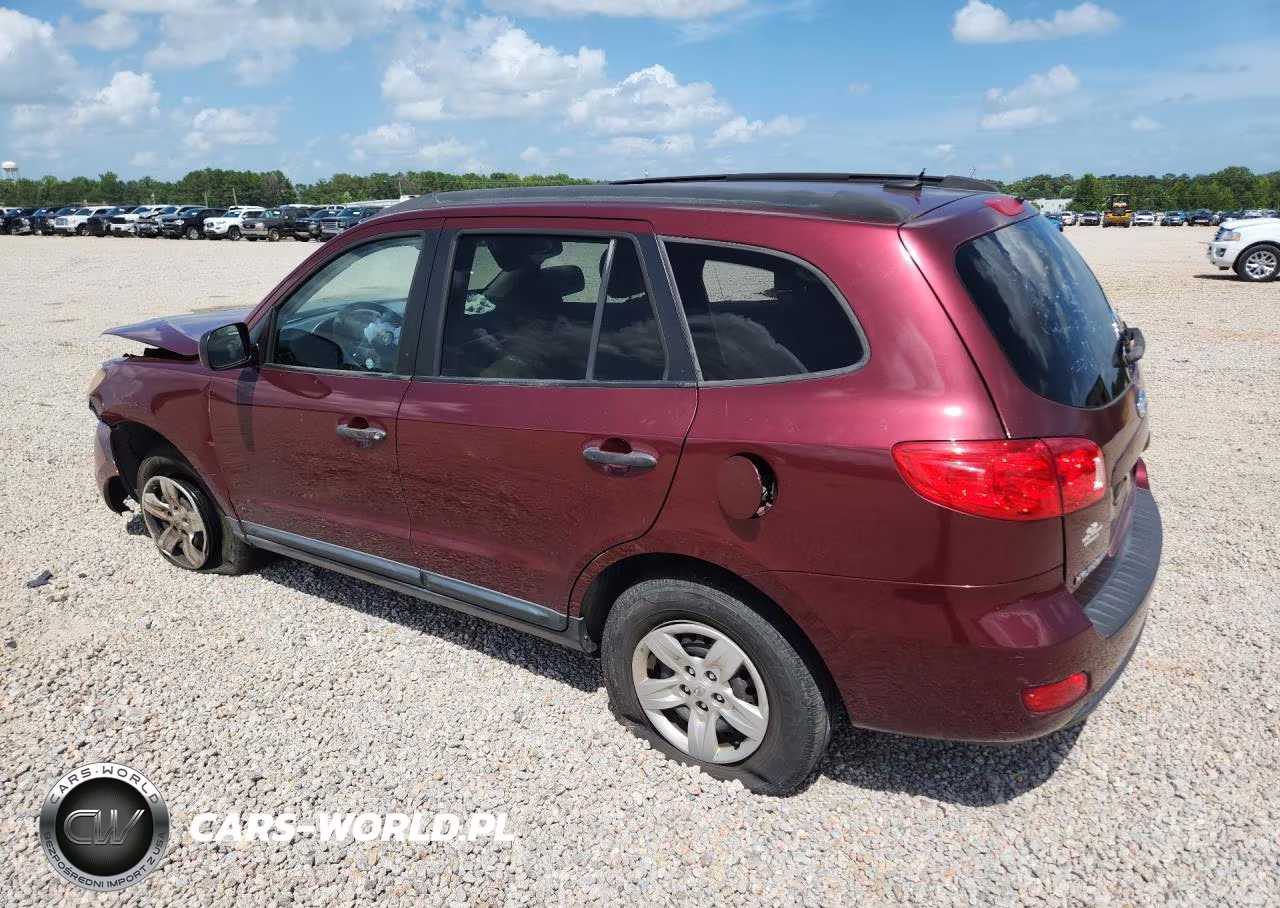 2009 Hyundai Santa Fe Gls VIN:5NMSG13D09H247069 - 2