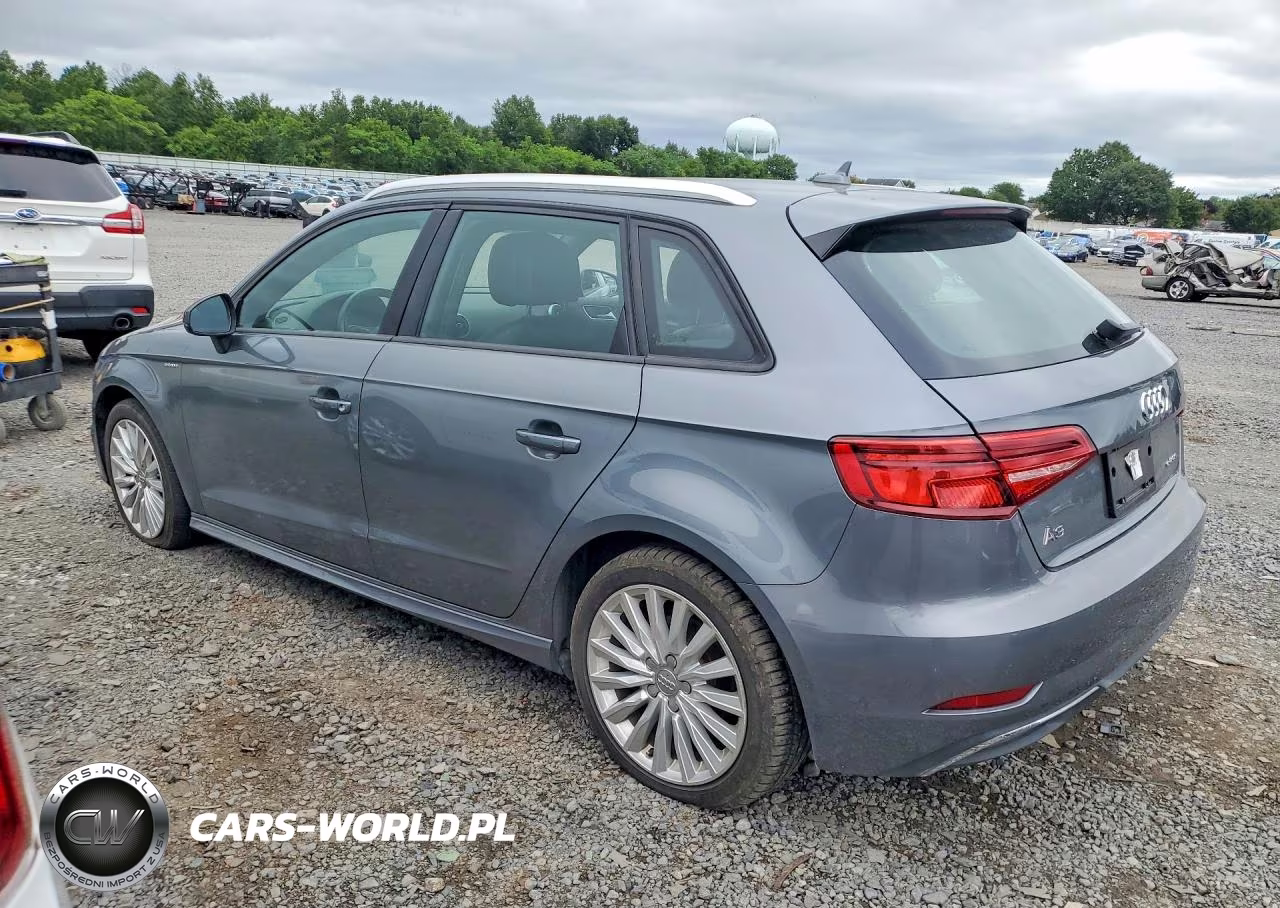 2017 Audi A3 E-Tron 1.4T Premium VIN:WAUUPBFF9HA098176 - 2