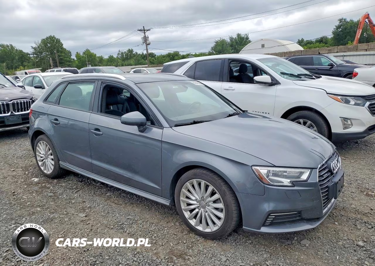 2017 Audi A3 E-Tron 1.4T Premium VIN:WAUUPBFF9HA098176 - 4