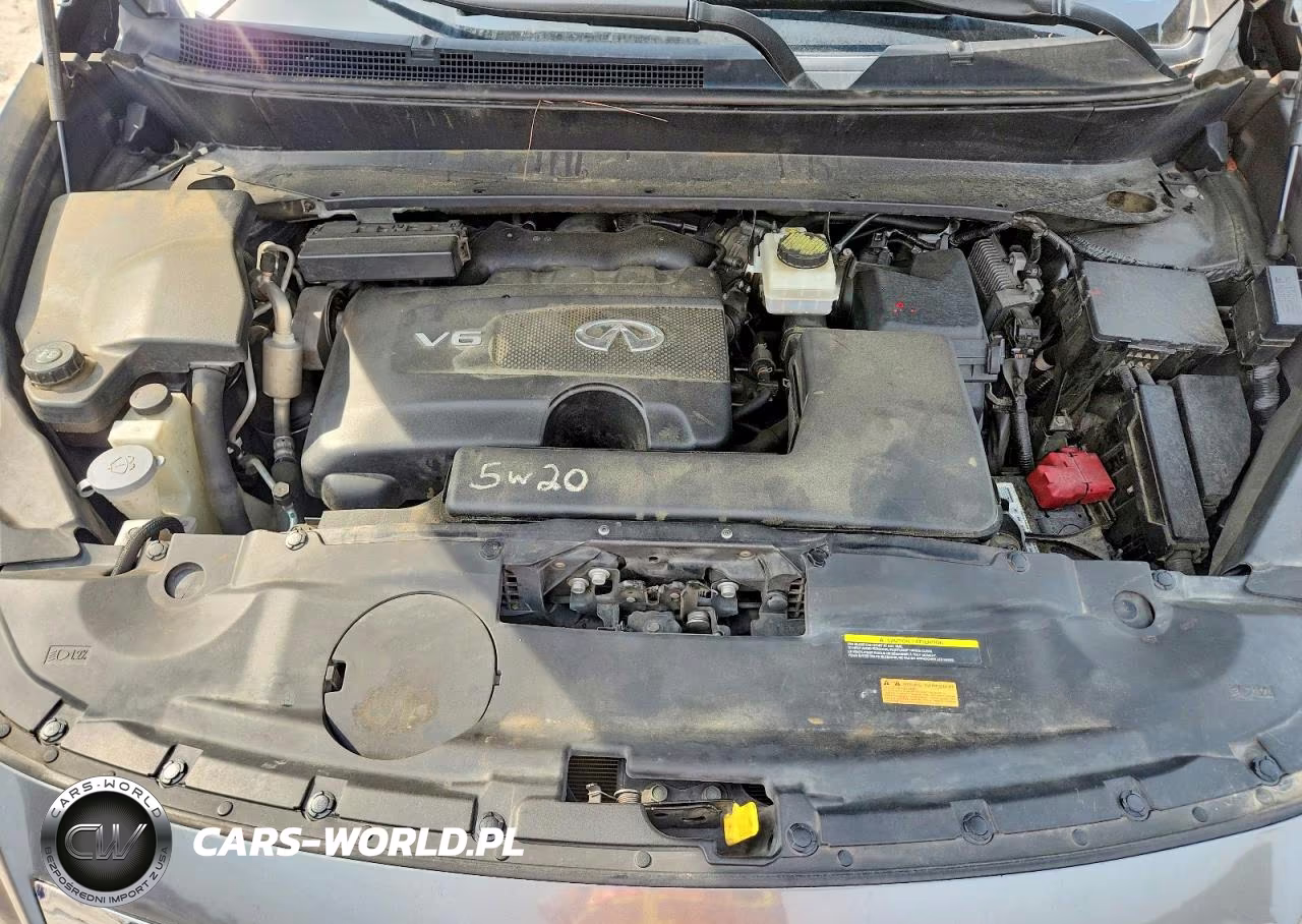 2020 Infiniti Qx60 Pure VIN:5N1DL0MM6LC537413 - 11