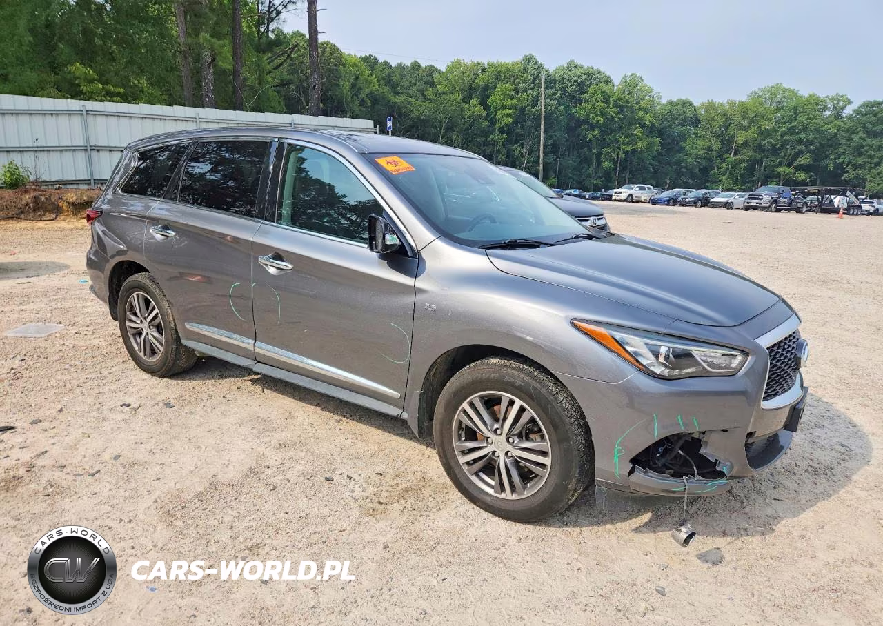 2020 Infiniti Qx60 Pure VIN:5N1DL0MM6LC537413 - 4