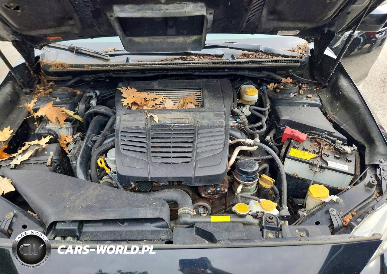 2019 Subaru Wrx VIN:JF1VA1A64K9814426 - 11