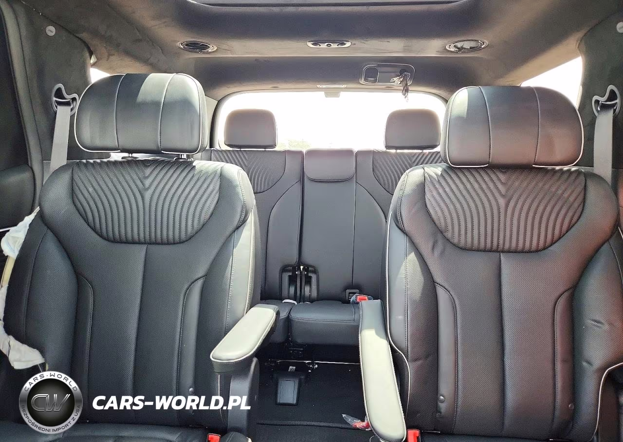 2024 Hyundai Palisade Calligraphy VIN:KM8R7DGE8RU768290 - 10