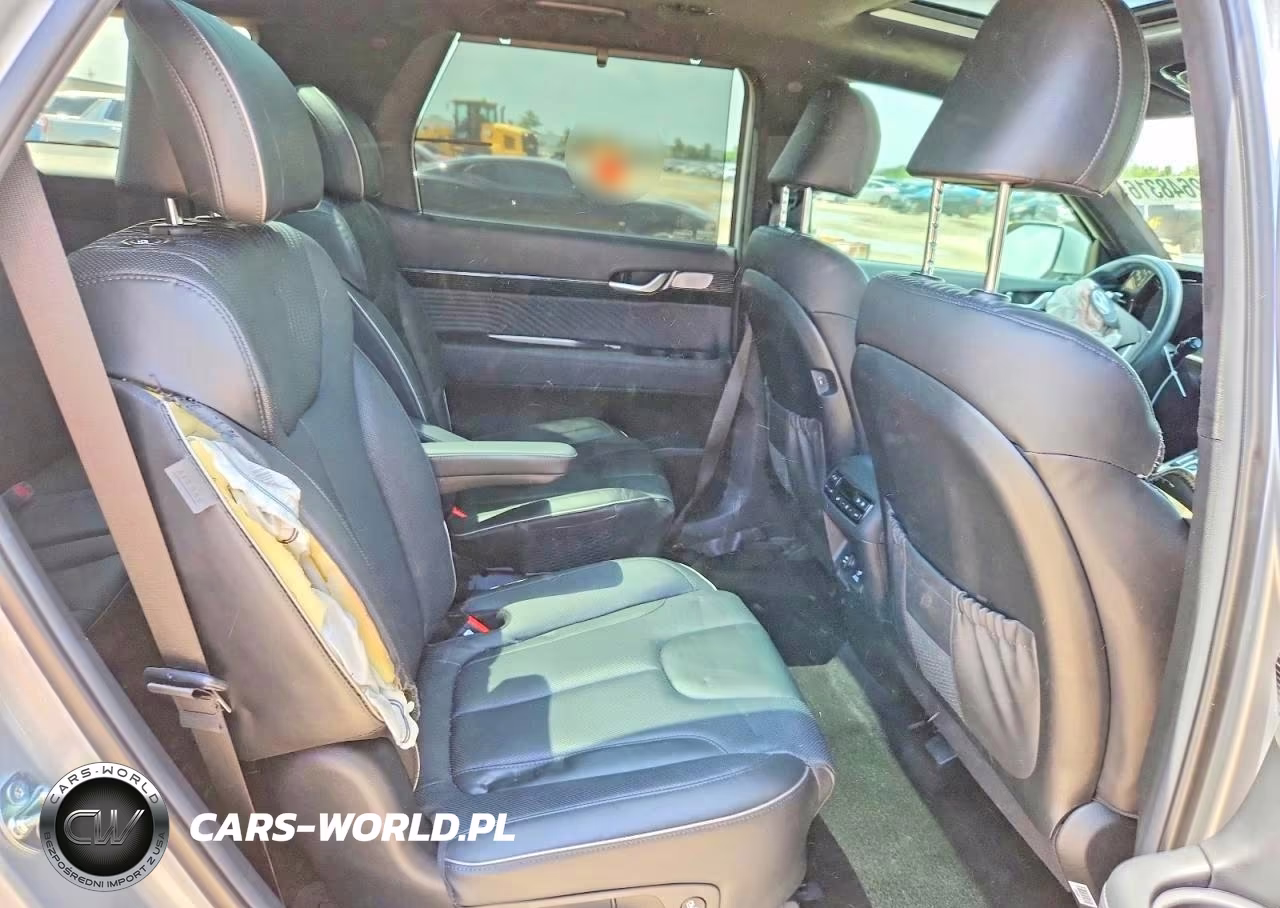 2024 Hyundai Palisade Calligraphy VIN:KM8R7DGE8RU768290 - 11