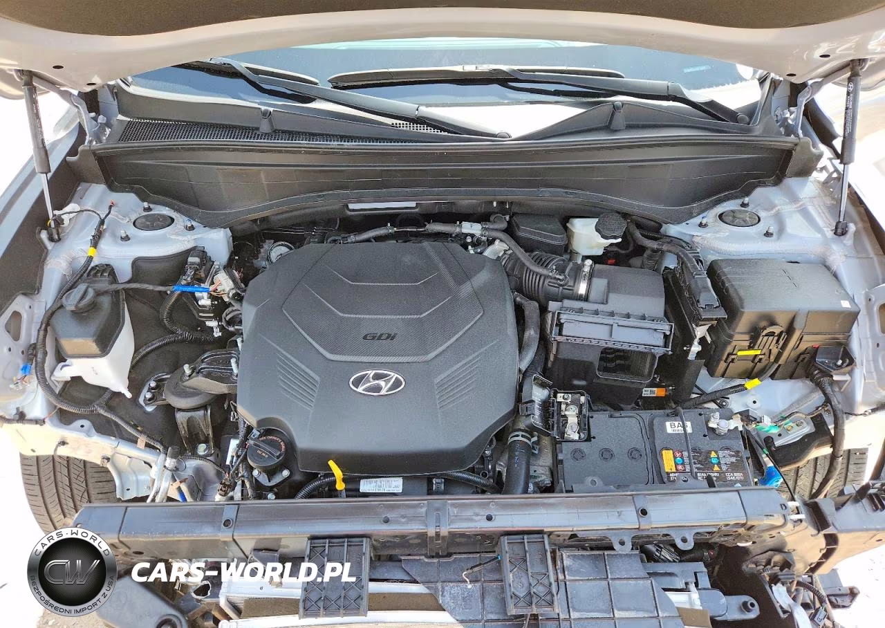 2024 Hyundai Palisade Calligraphy VIN:KM8R7DGE8RU768290 - 12