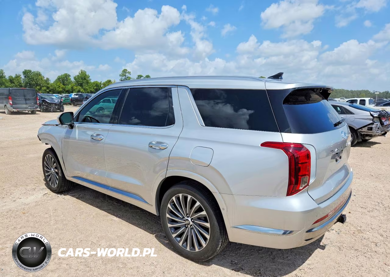 2024 Hyundai Palisade Calligraphy VIN:KM8R7DGE8RU768290 - 2