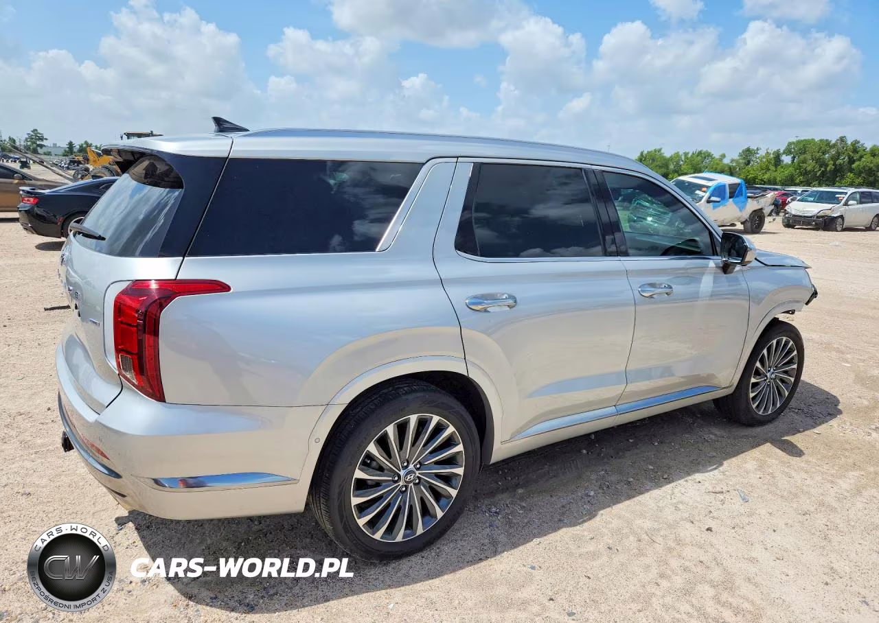 2024 Hyundai Palisade Calligraphy VIN:KM8R7DGE8RU768290 - 3
