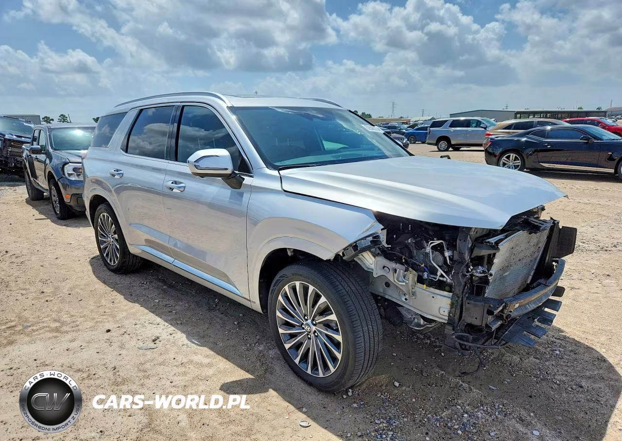 2024 Hyundai Palisade Calligraphy VIN:KM8R7DGE8RU768290 - 4