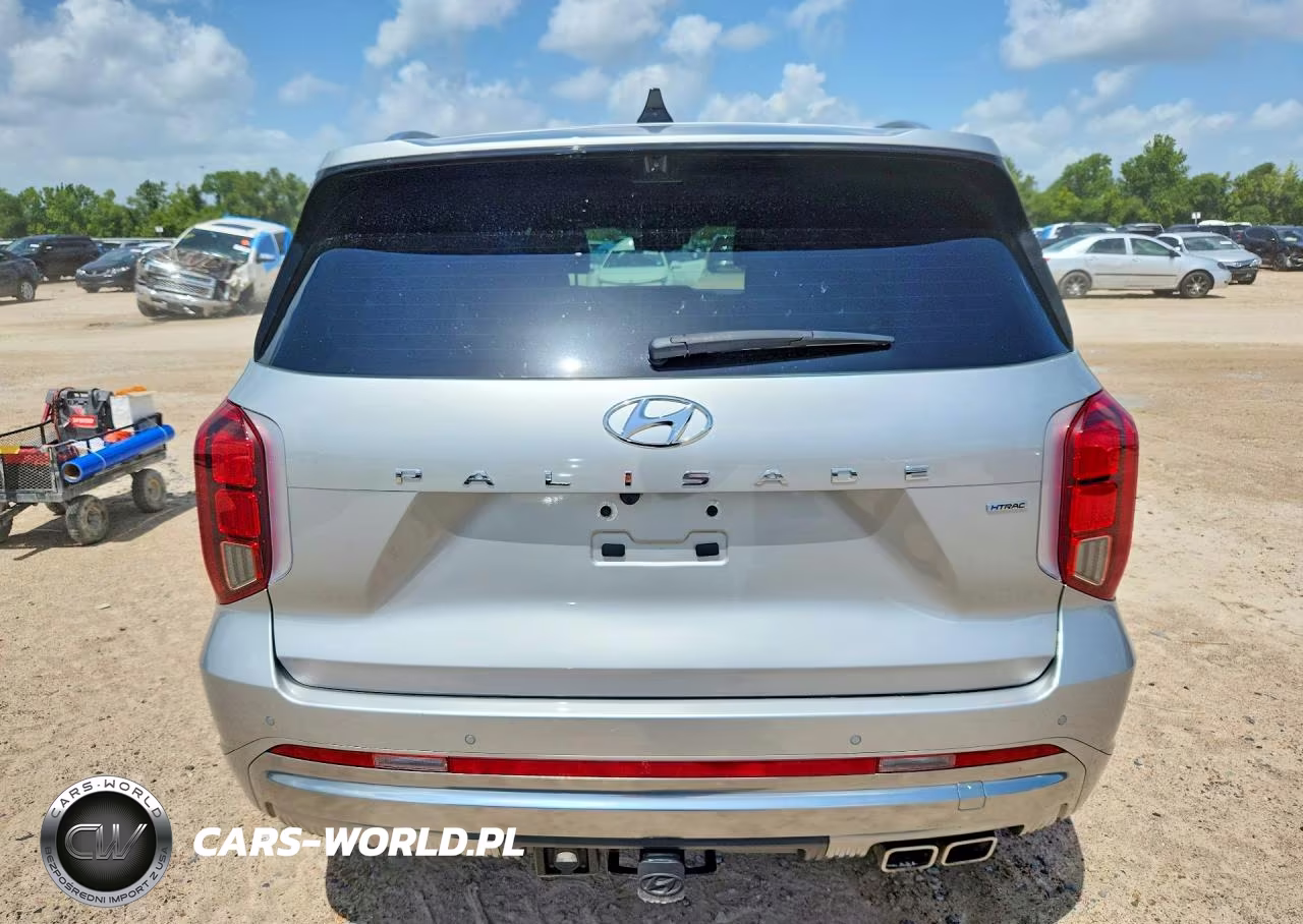 2024 Hyundai Palisade Calligraphy VIN:KM8R7DGE8RU768290 - 6