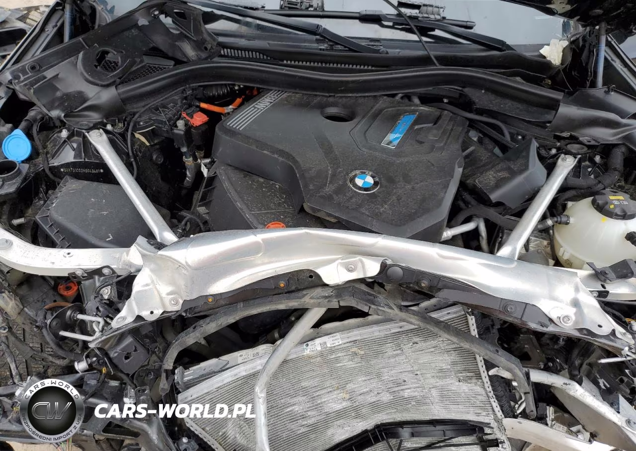 2021 BMW X3 xDrive30E VIN:5UXTS1C03M9G49481 - 12
