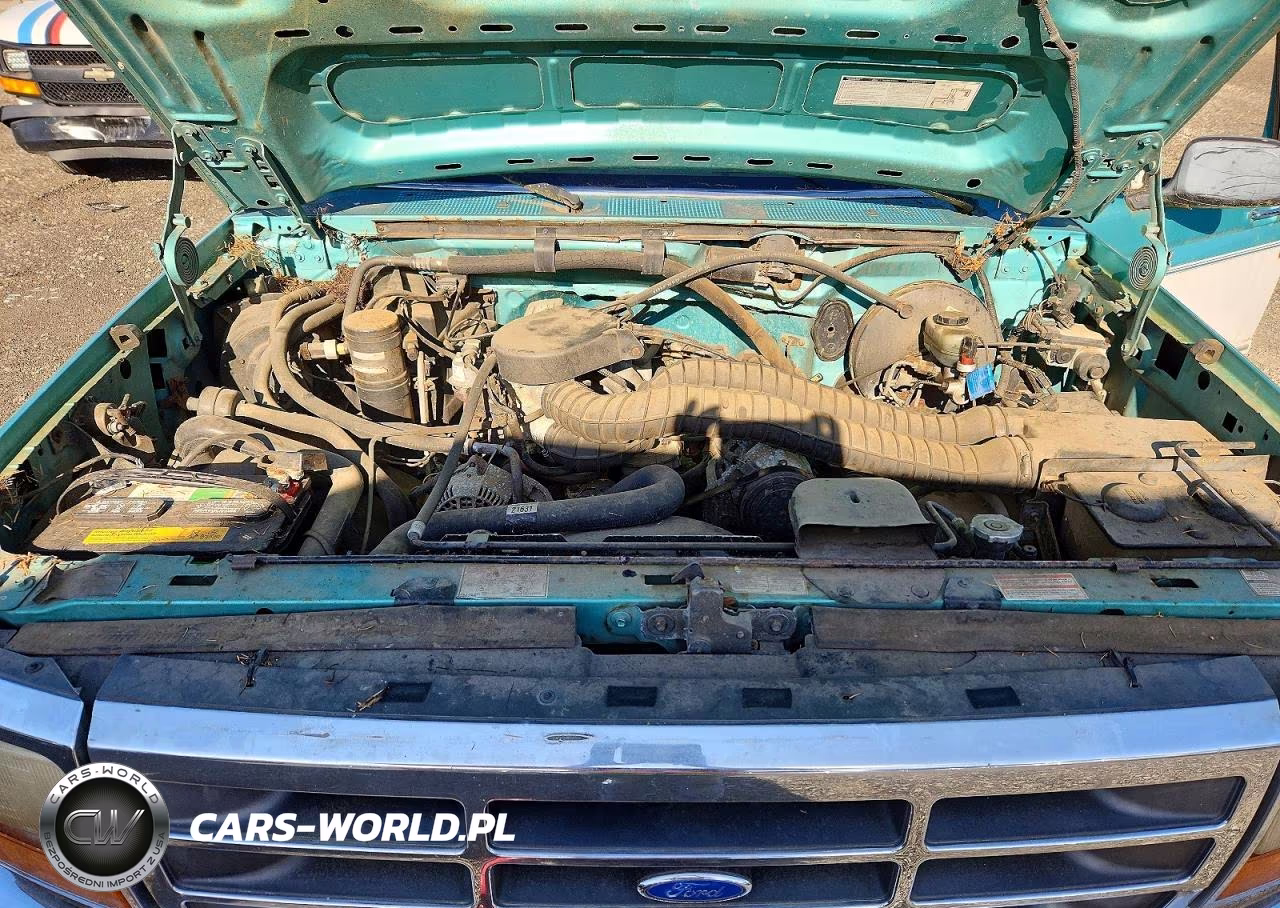 1994 Ford F150 VIN:1FTEX14H6RKB26663 - 11