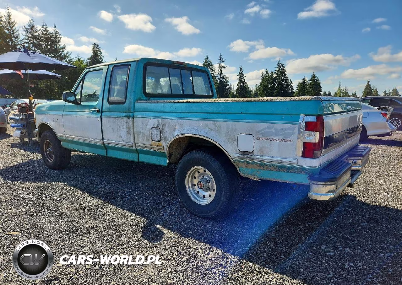 1994 Ford F150 VIN:1FTEX14H6RKB26663 - 2