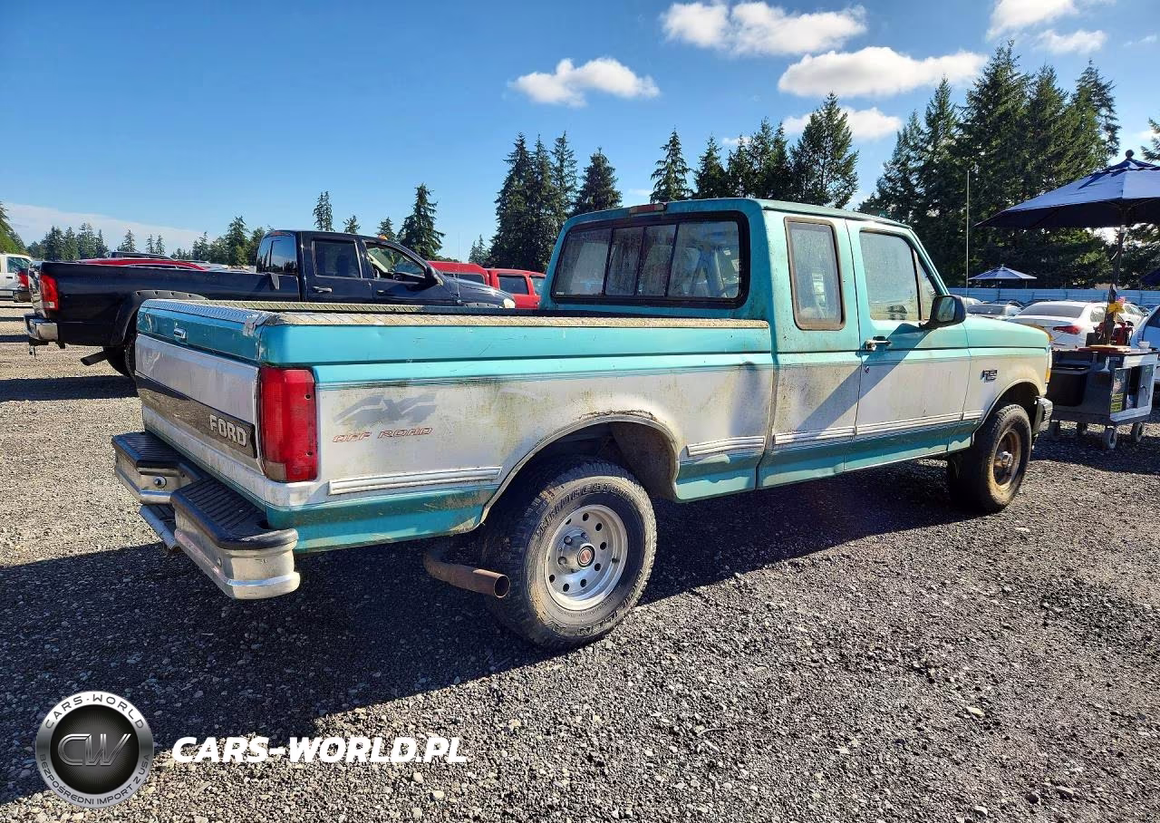 1994 Ford F150 VIN:1FTEX14H6RKB26663 - 3