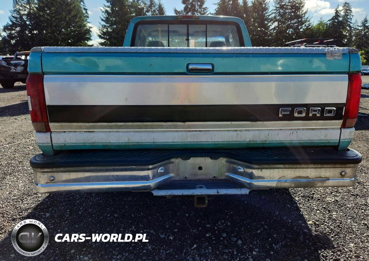 1994 Ford F150 VIN:1FTEX14H6RKB26663 - 6