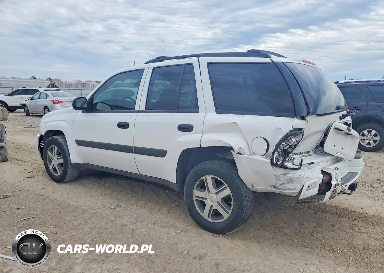 2005 Chevrolet Trailblazer Ls VIN:1GNDT13S752110882 - 2