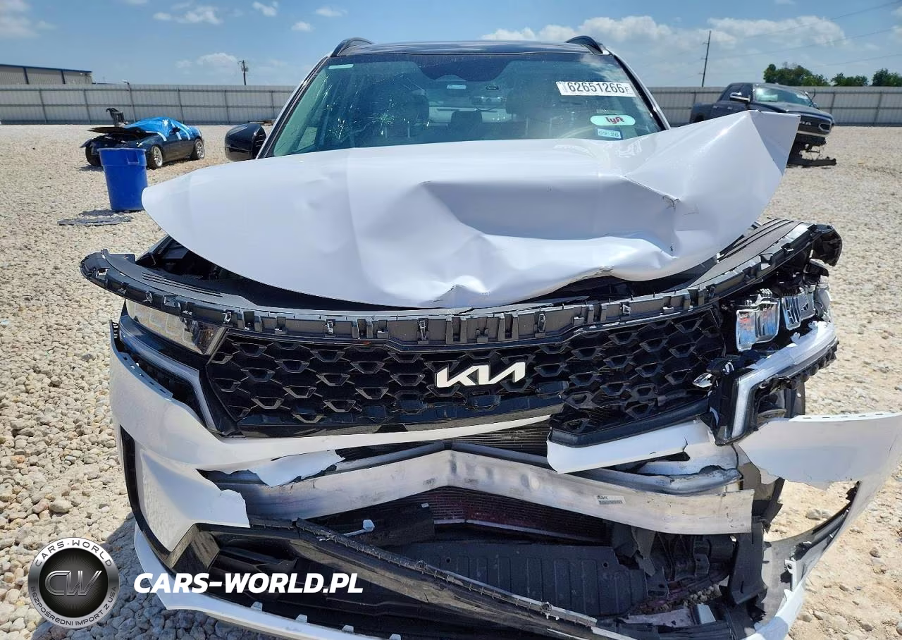 2023 Kia Sorento S VIN:5XYRL4LC9PG206420 - 12