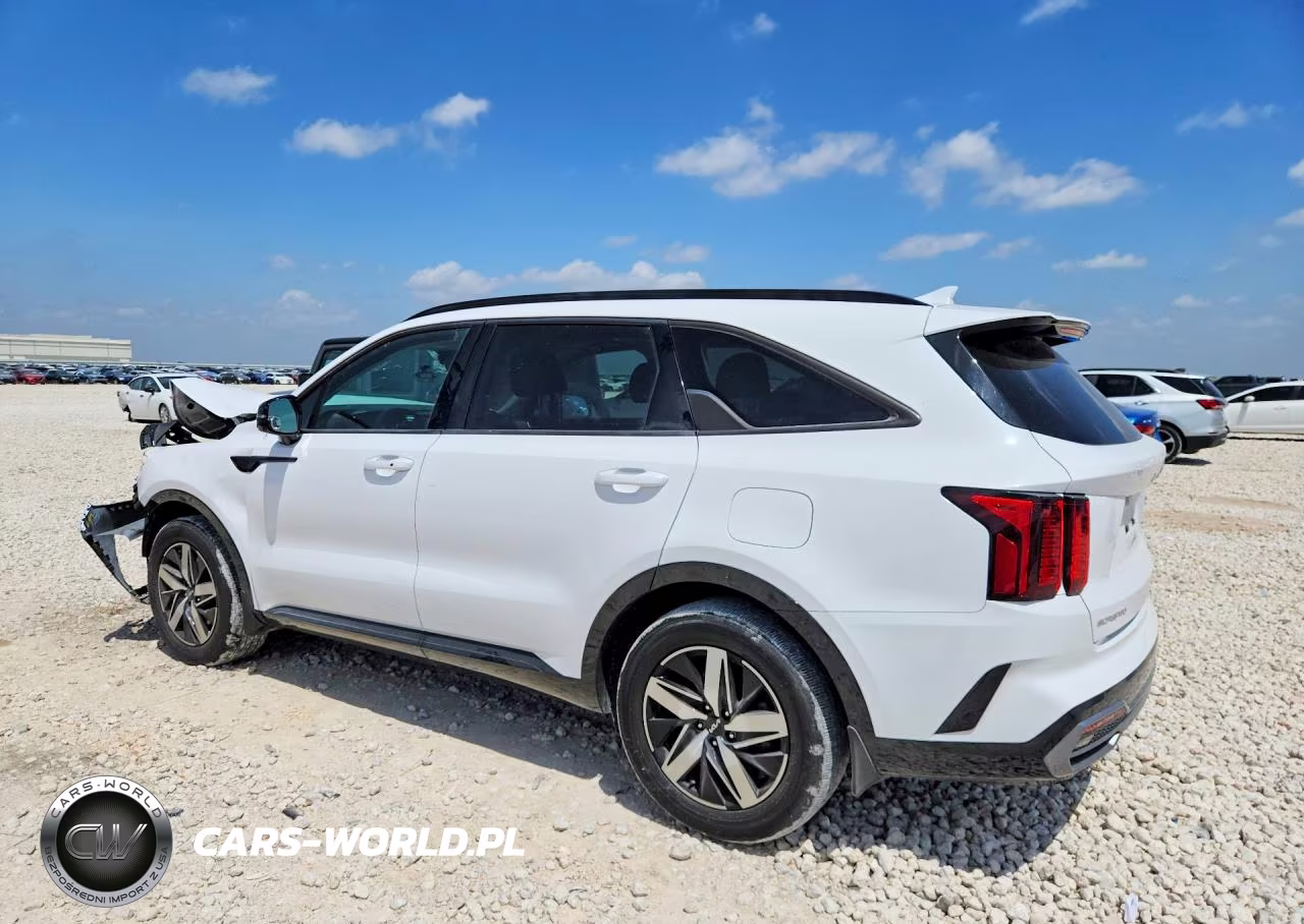2023 Kia Sorento S VIN:5XYRL4LC9PG206420 - 2