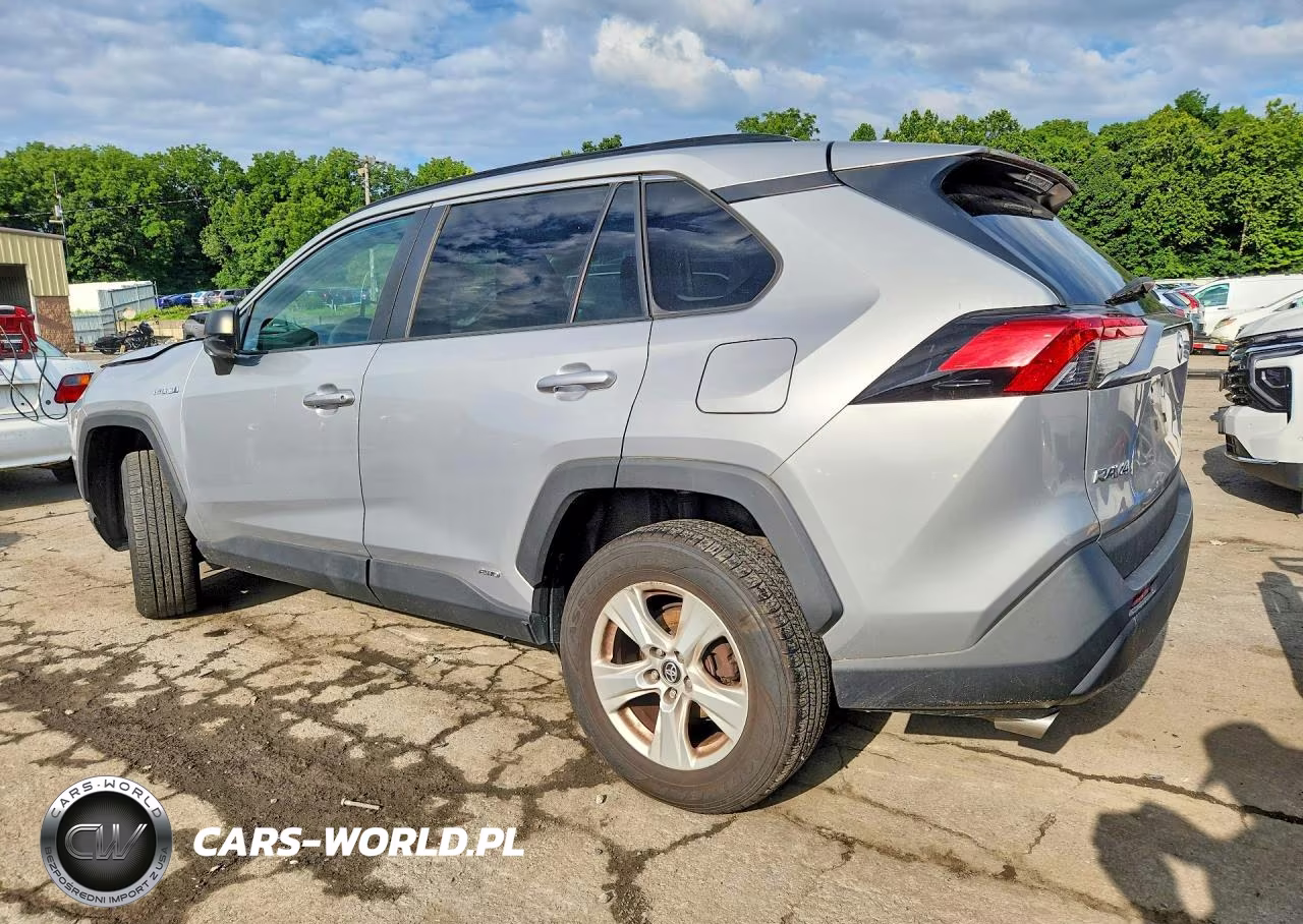 2020 Toyota Rav4 Le VIN:2T3LWRFV1LW049999 - 2