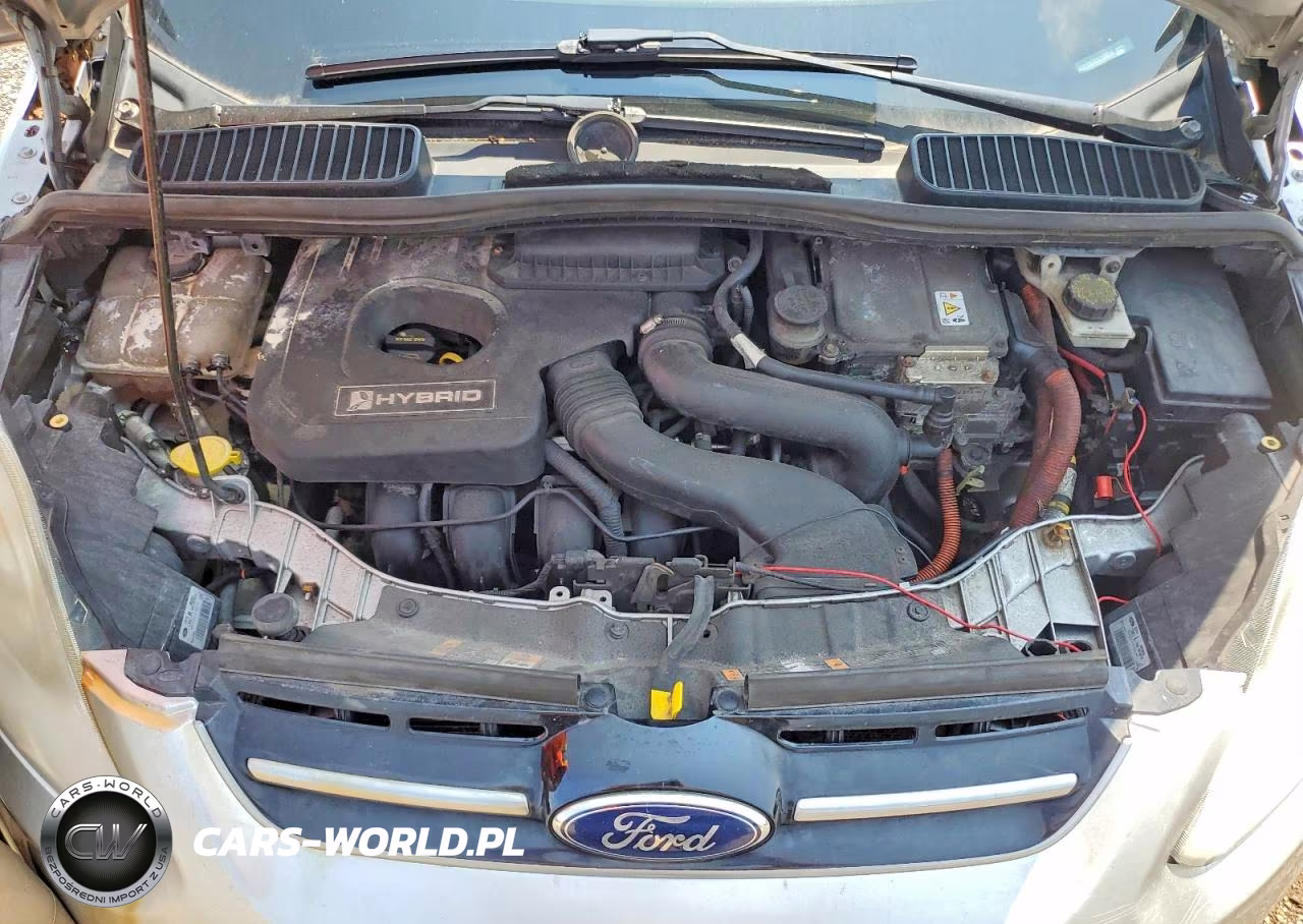 2013 Ford C-Max Sel VIN:1FADP5BUXDL536054 - 11
