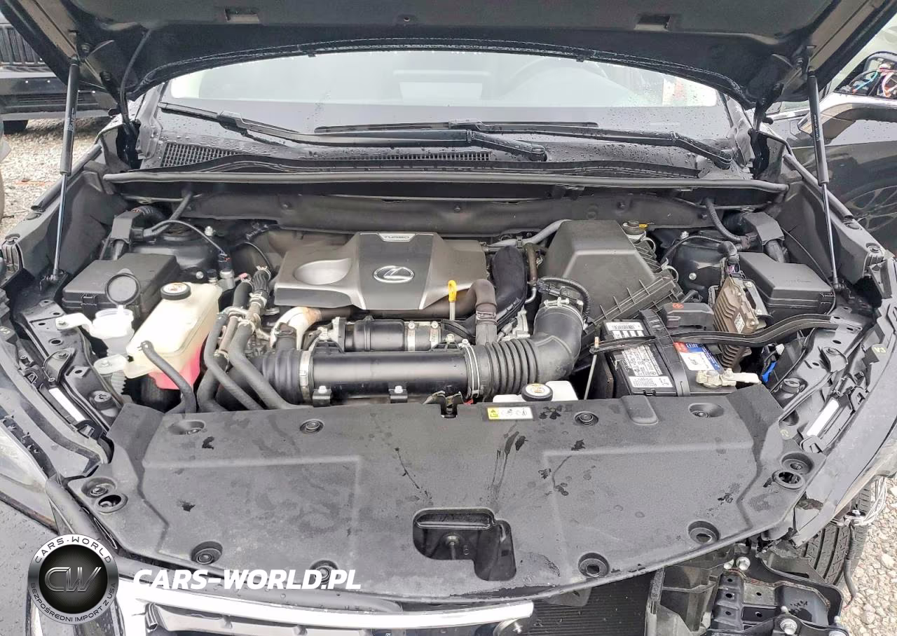 2021 Lexus Nx 300 Base VIN:JTJDARDZ2M2253601 - 12