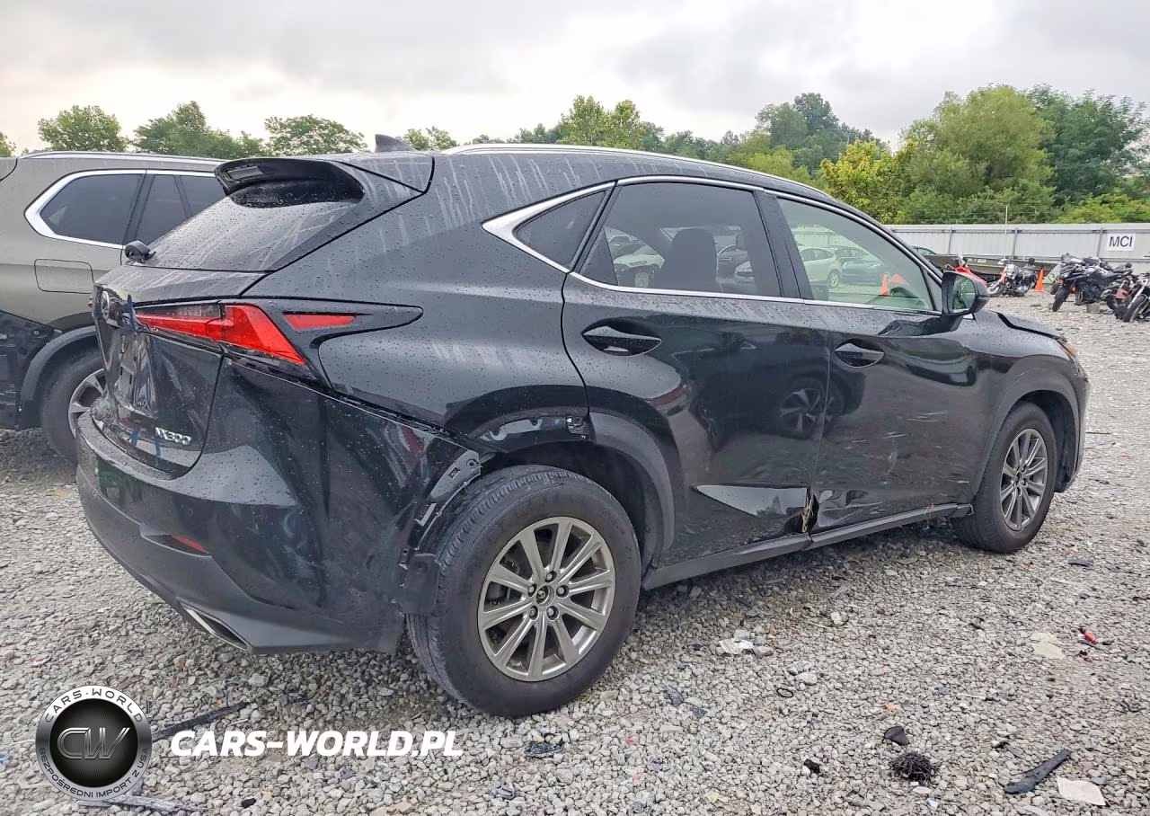 2021 Lexus Nx 300 Base VIN:JTJDARDZ2M2253601 - 3