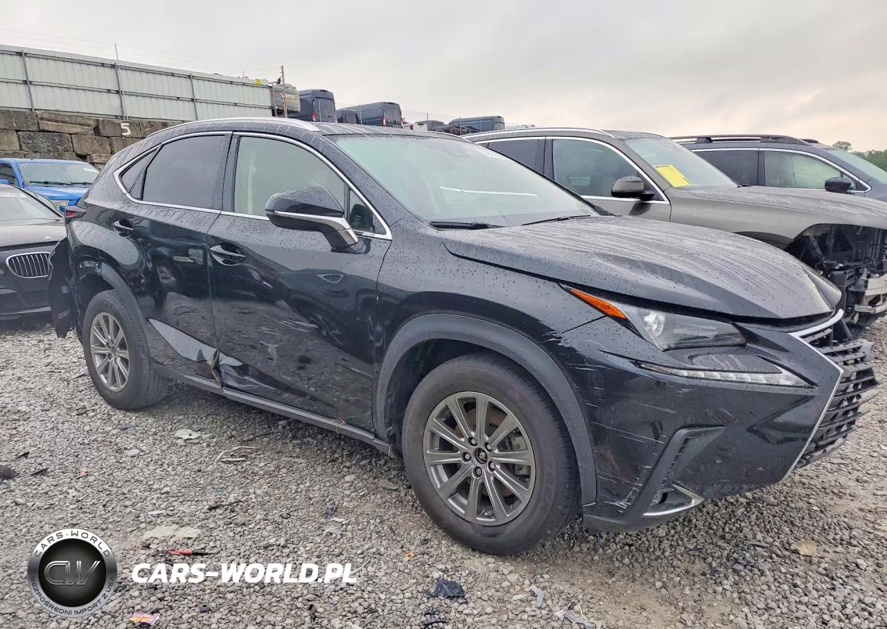 2021 Lexus Nx 300 Base VIN:JTJDARDZ2M2253601 - 4