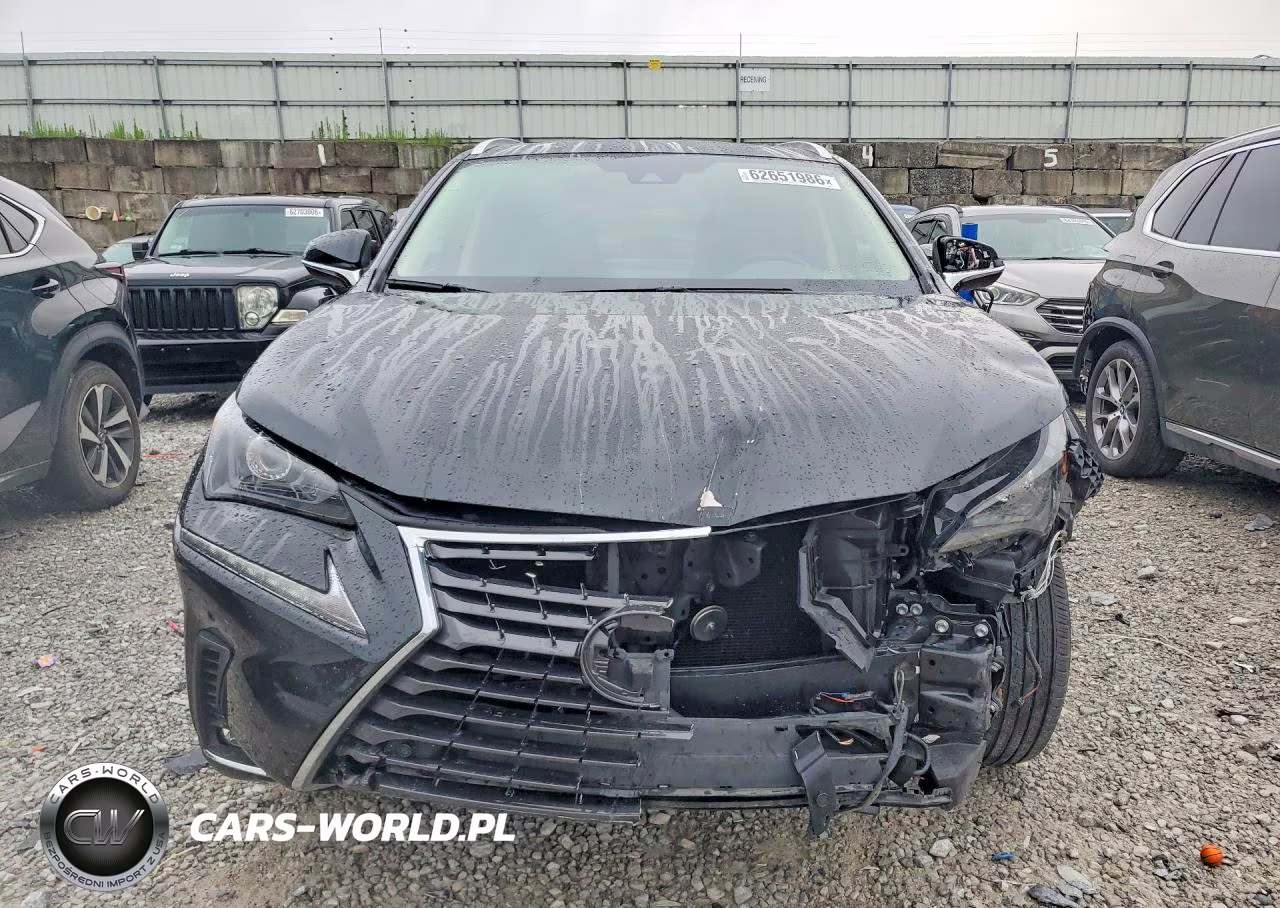 2021 Lexus Nx 300 Base VIN:JTJDARDZ2M2253601 - 5