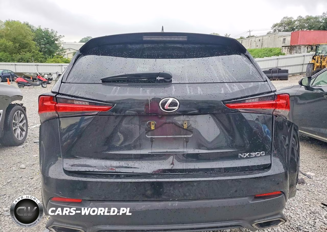 2021 Lexus Nx 300 Base VIN:JTJDARDZ2M2253601 - 6