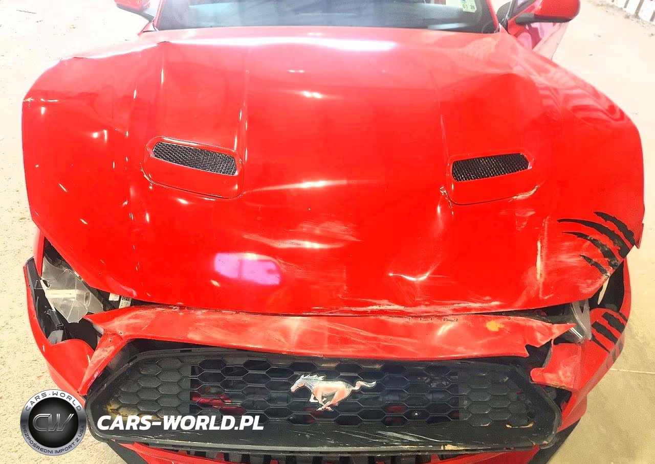 2021 Ford Mustang VIN:1FA6P8TH6M5104030 - 11