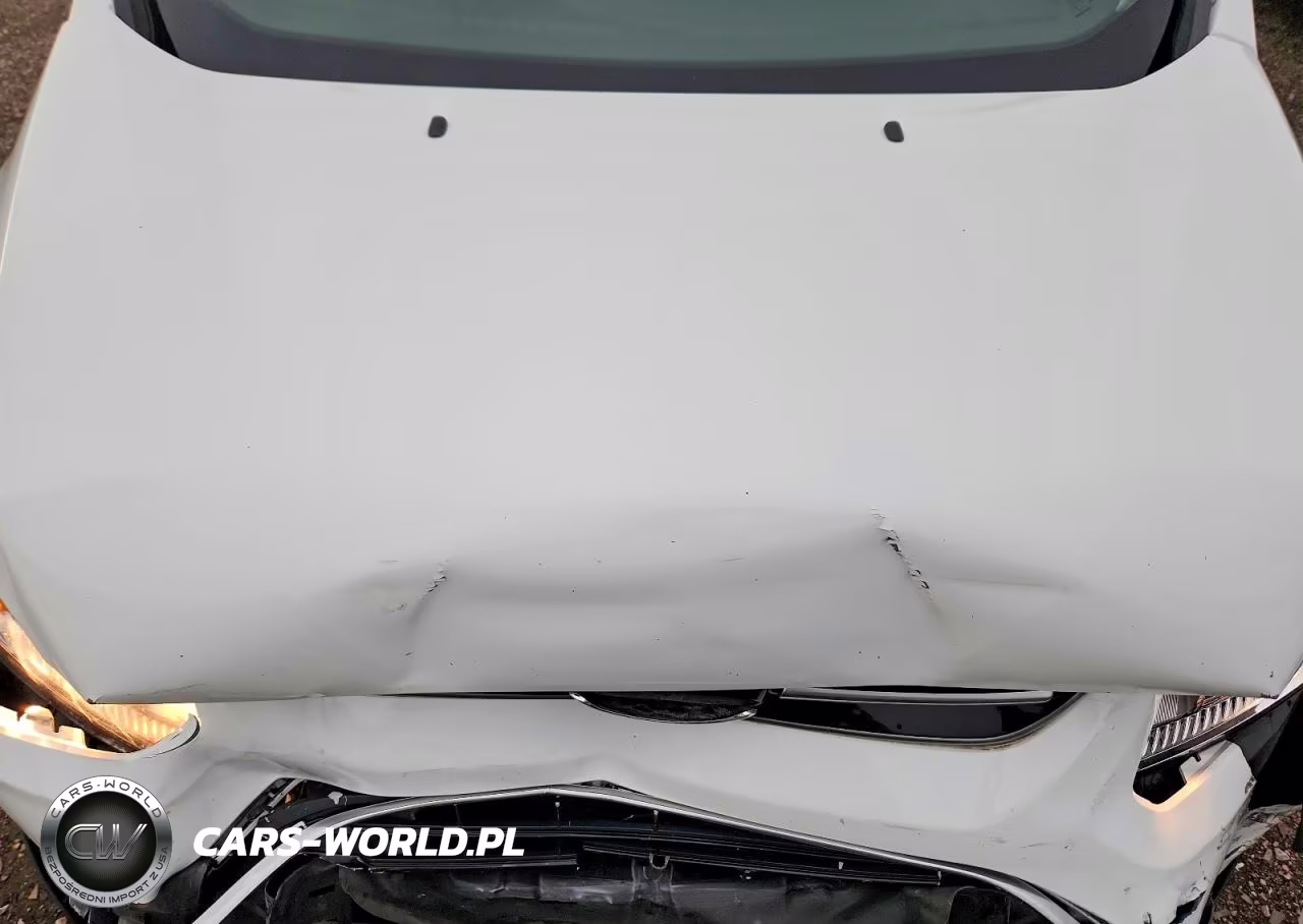 2017 Ford C-Max Se VIN:1FADP5AUXHL112736 - 11