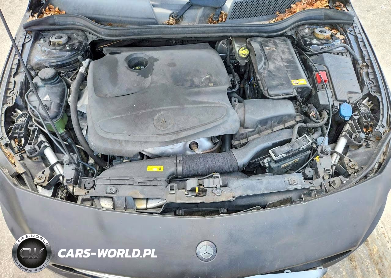 2016 Mercedes-Benz Cla 250 VIN:WDDSJ4EB2GN392179 - 11