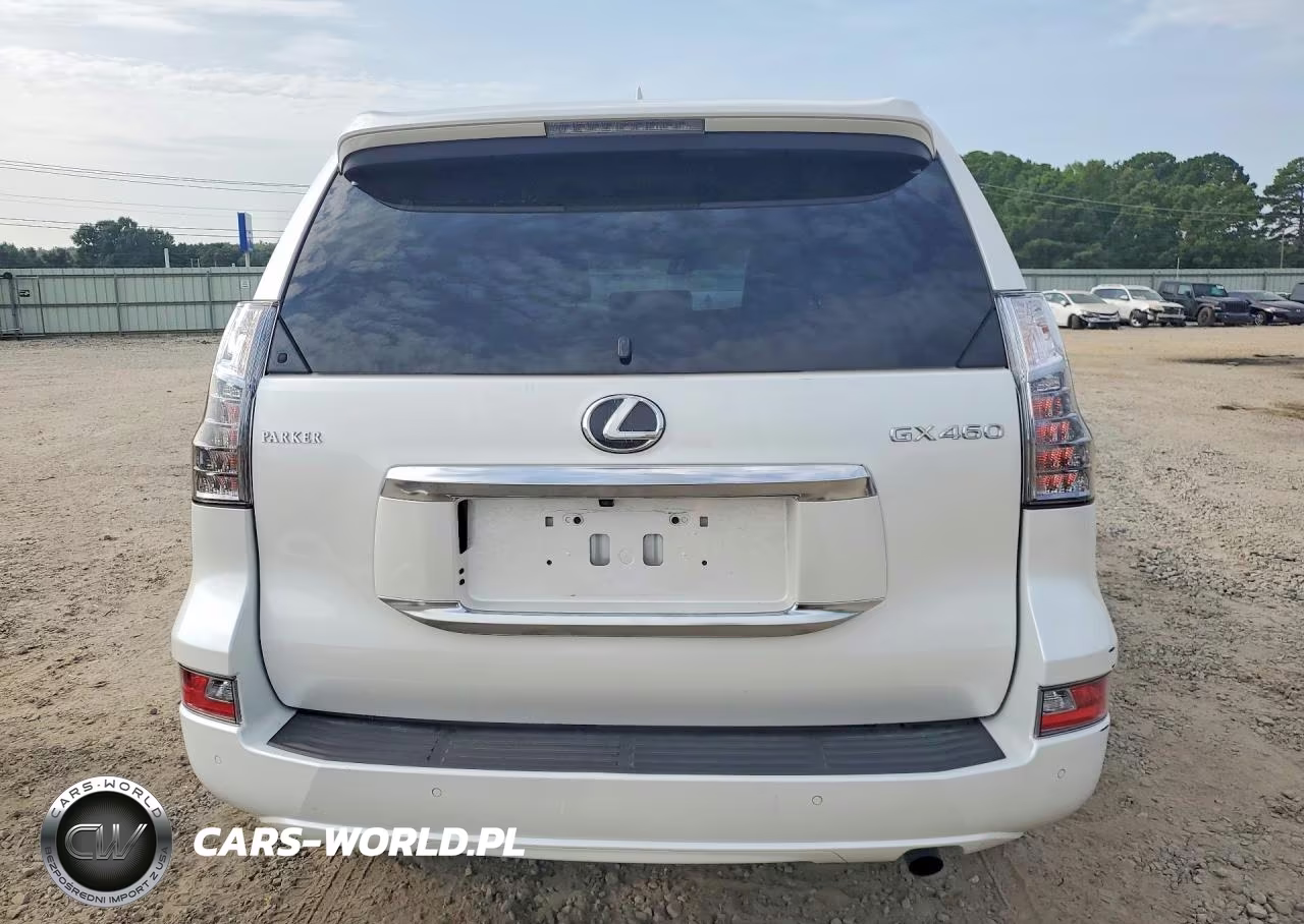 2023 Lexus Gx 460 VIN:JTJAM7BX7P5365538 - 6