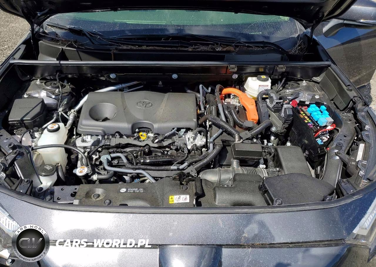 2024 Toyota Rav4 Xle Premium VIN:JTMB6RFV2RD138269 - 12