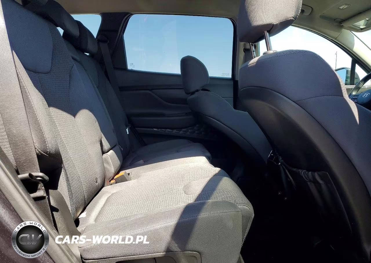 2023 Hyundai Santa Fe Sel VIN:5NMS2DAJXPH514109 - 10
