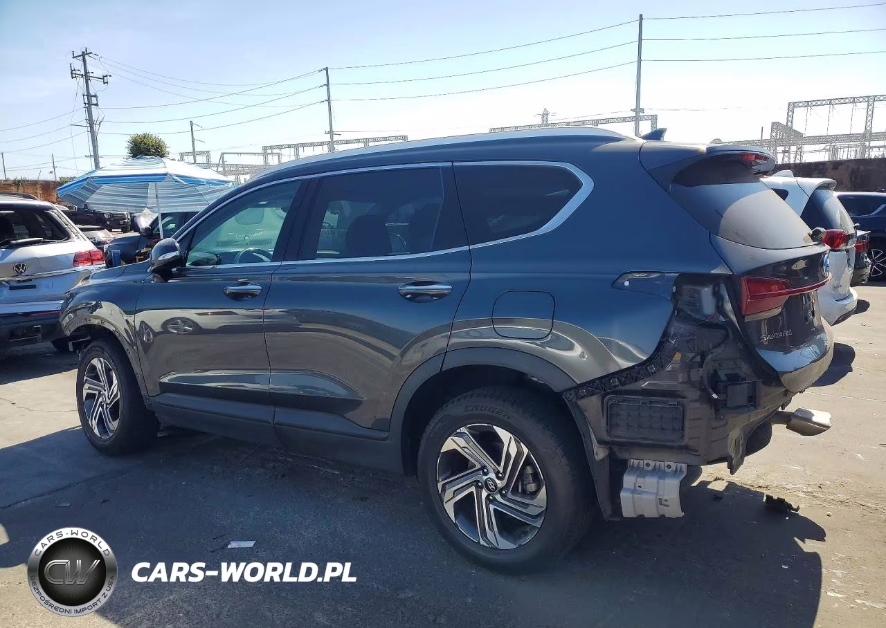 2023 Hyundai Santa Fe Sel VIN:5NMS2DAJXPH514109 - 2